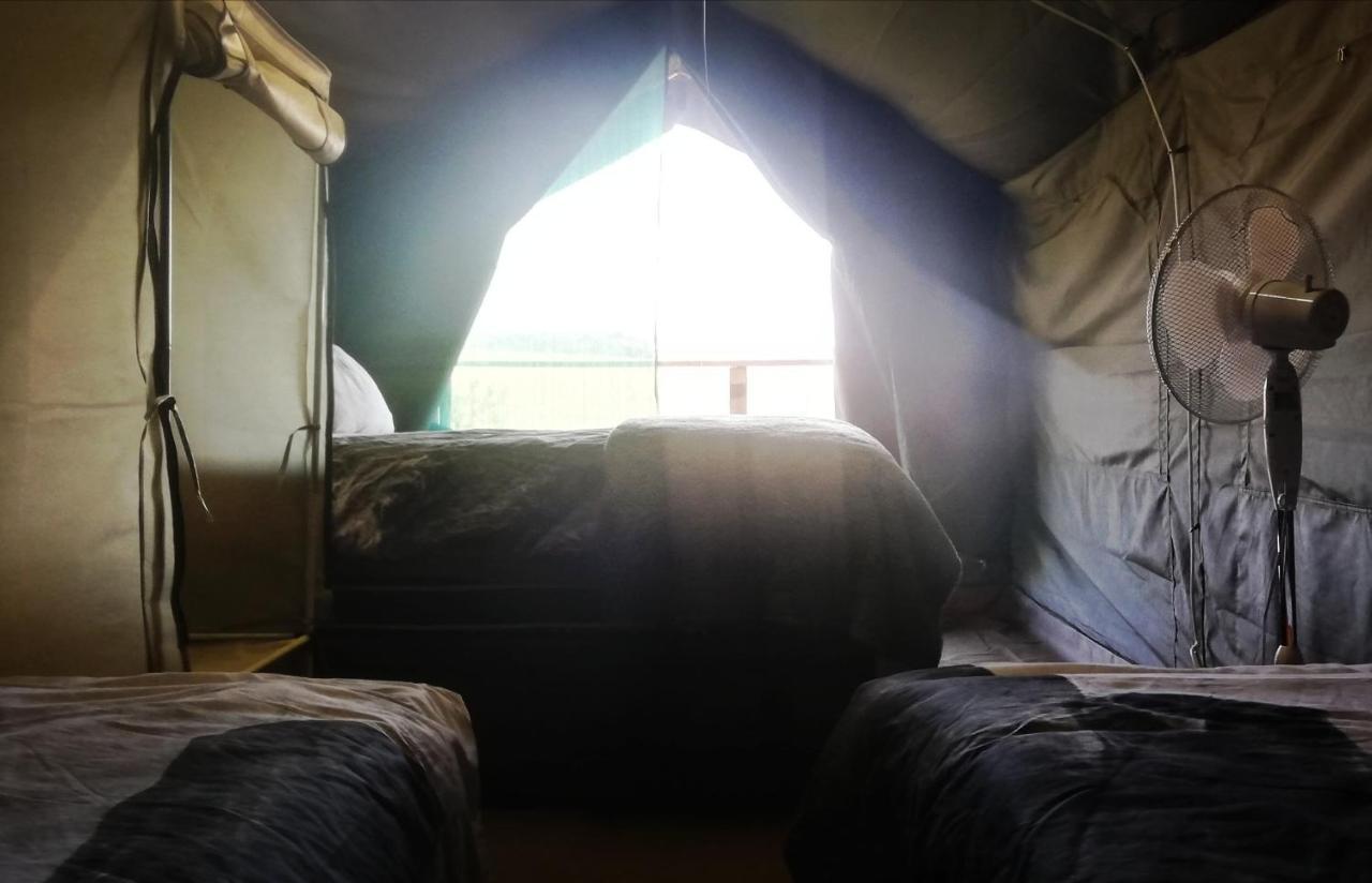 Chosen Glamping Tents Graskop Exterior photo