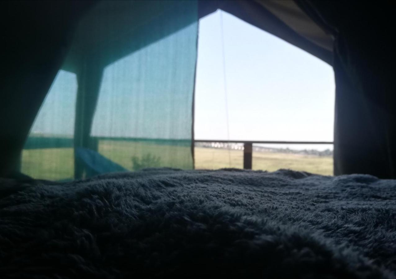 Chosen Glamping Tents Graskop Exterior photo